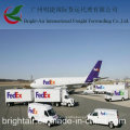 Global Logistics Transport Online Shipping Delivery Company DHL/UPS/TNT Courier Express From China to Worldwide